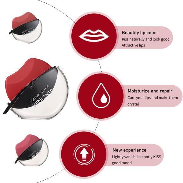 Лінива матова зволожуюча помада VINCINER MATTE LIPSTICK MOISTURIZING 10 тон 0409039 фото