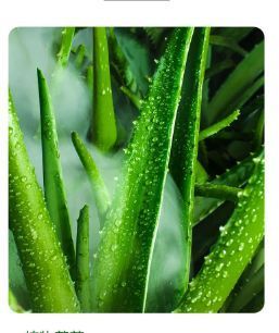 Тканинна маска для обличчя BIOAQUA Aloe Vera Moisturizing Mask з екстрактом алое 25 г 010203 фото