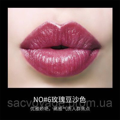 Оксамитова матова помада для губ Images CHARM SILKY LIPSTICK тон 6 currant red - пудрова - слива 3.8г 040907 фото