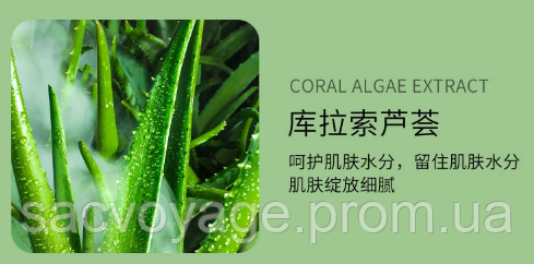 Тканинна маска для обличчя BIOAQUA Aloe Vera Moisturizing Mask з екстрактом алое 25 г 010203 фото