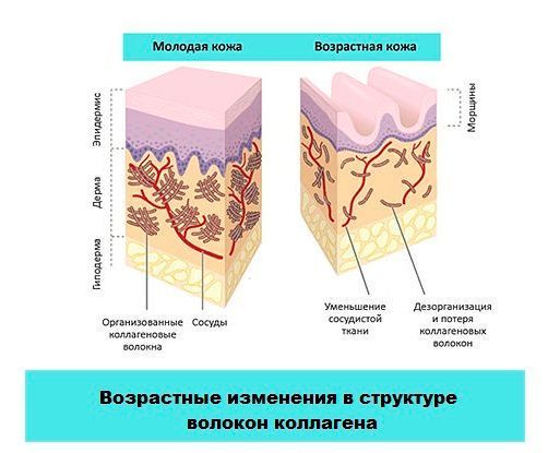 Колагенова маска Collagen Crystal Neck Bad Mask для шиї з біозолотом 1 штука 010701 фото