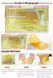 Колагенова маска Collagen Crystal Neck Bad Mask для шиї з біозолотом 1 штука 010701 фото 5