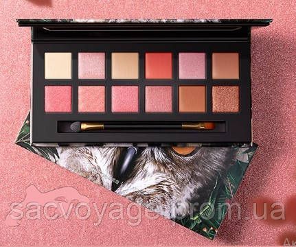 Палетка тіней для повік IMAGES Jungle Eye Shadow in 12 Colors 02 Сова 041002 фото