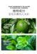 Крем с экстрактом авокадо ZOZU AVOCADO ELASTIC MOISTURIZ CREAM 50мл 0302022 фото 6