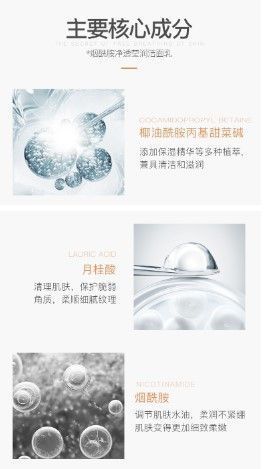 Пінка для вмивання VEZE Niacinamide pure and translucent з ніацинамідом 100мл 060204 фото