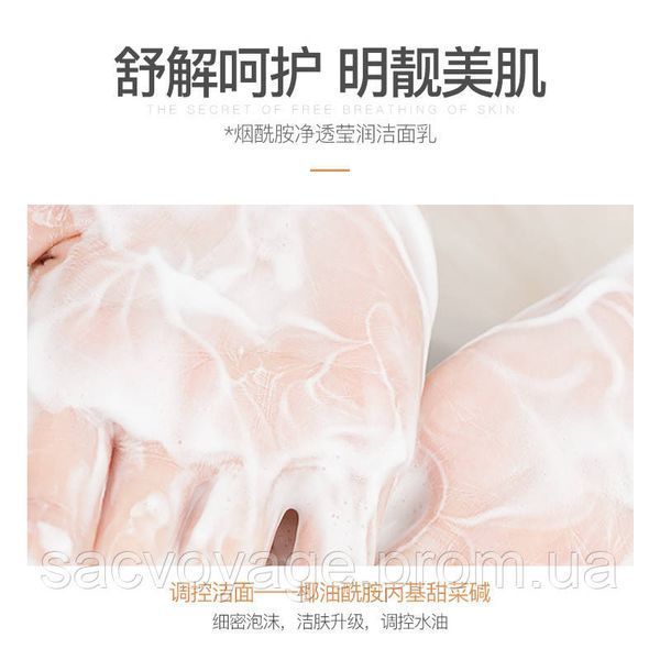 Пінка для вмивання VEZE Niacinamide pure and translucent з ніацинамідом 100мл 060204 фото