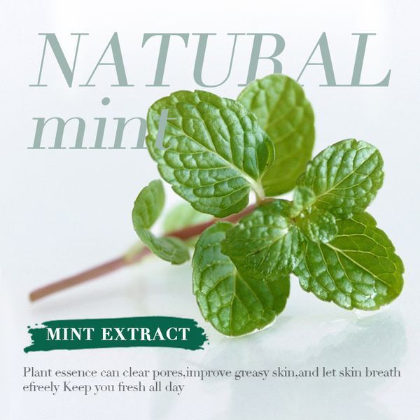 Бесцветная матирующая минеральная рассыпчатая SADOER No Sebum Mineral 5г 0405011 фото