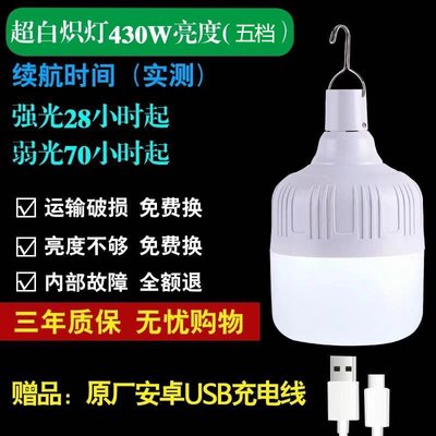 LED лампа подвесная на аккумуляторах с USB разъемом 430 ват 0170105 фото