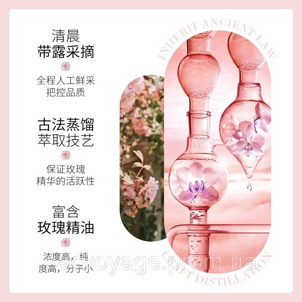 Натуральна олія троянди Bioaqua Rose Stem Flower Oil 30мл 0130101 фото