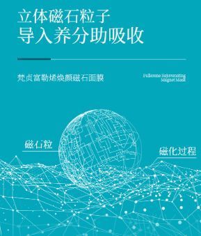НОВИНКА!!! Магнітна маска, що омолоджує Veze Fullerene Rejuvenating Magnet Mask 30г 0102039 фото