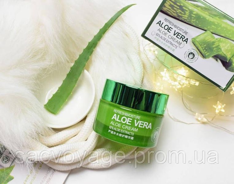Увлажняющий крем для лица BIOAQUA Aloe Vera 92% Refresh Moinsture 50мл 0302026 фото