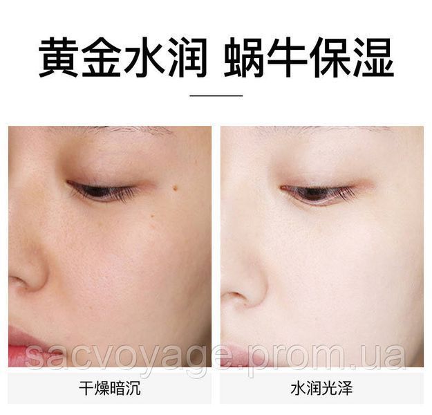 Есенція з фільтратом секрету равлика та нанозолотом VEZE Golden Snail Serum repair serum 100мл 0202006 фото