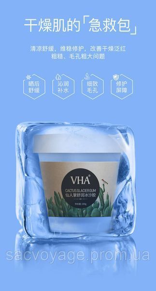 Многофункциональный смузи &ndash; гель VHA Cactus glacer gum с экстрактом кактуса 200 мл 0302007 фото