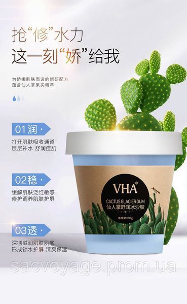 Многофункциональный смузи &ndash; гель VHA Cactus glacer gum с экстрактом кактуса 200 мл 0302007 фото