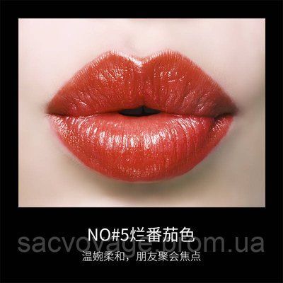 Оксамитова матова помада для губ Images CHARM SILKY LIPSTICK тон 5 sherry&nbsp;red - червоно - морквяний 3.8г 0409014 фото