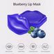 Патчи для губ Bioaqua Blueberry Moisturizing Lip Mask с черникой 20 штук 050205 фото 6